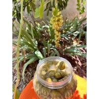 Kırma Yeşil Zeytin 1 kg (Ev Yapımı) Kırma Yeşil Zeytin 1 kg (Ev Yapımı)