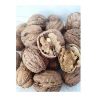 İnce Kabuklu Chandler Ceviz 1 Kg İnce Kabuklu Chandler Ceviz 1 Kg