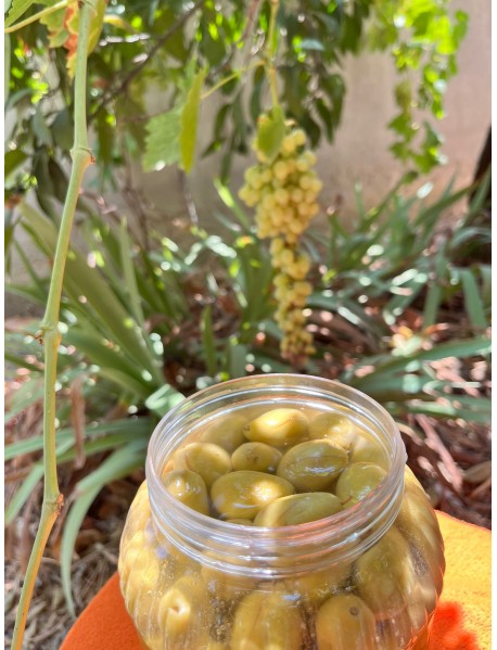 1 Kg Dilme Yeşil Zeytin 1 Kg Dilme Yeşil Zeytin