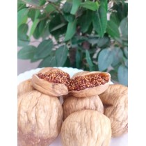 Büyük Boy Aydın Nazilli Dağ İnciri 1 Kg Büyük Boy Aydın Nazilli Dağ İnciri 1 Kg