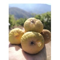 Büyük Boy Aydın Nazilli Dağ İnciri 1 Kg Büyük Boy Aydın Nazilli Dağ İnciri 1 Kg