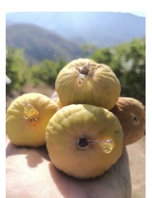 Büyük Boy Aydın Nazilli Dağ İnciri 1 Kg