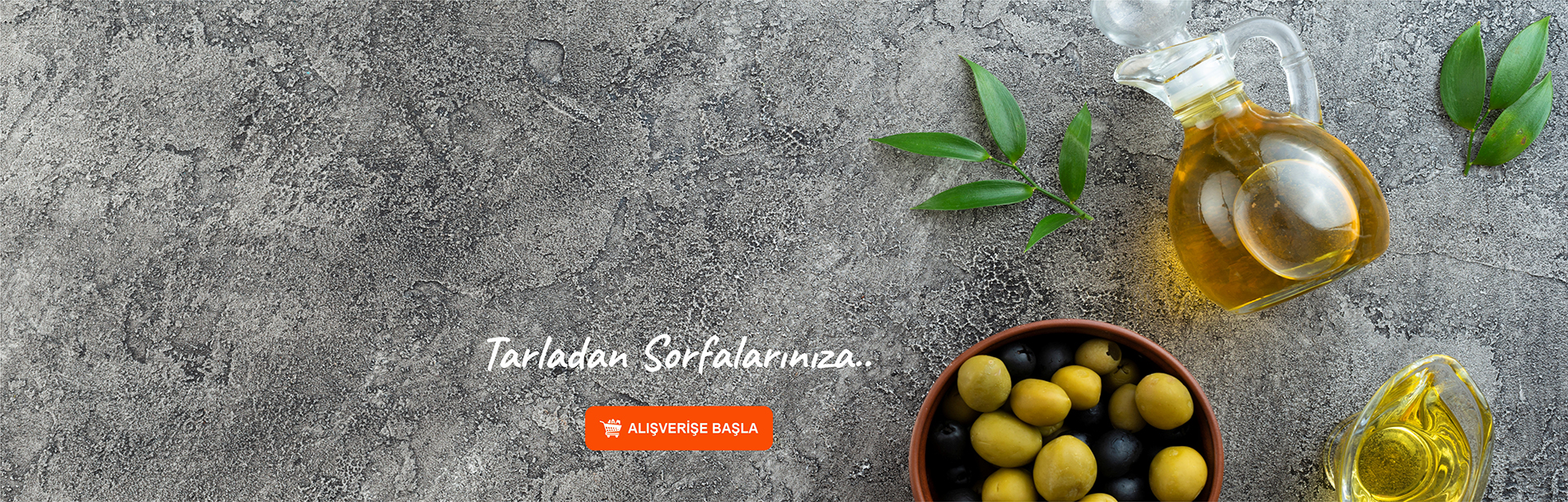 Zeytin ve Zeytin Yağı